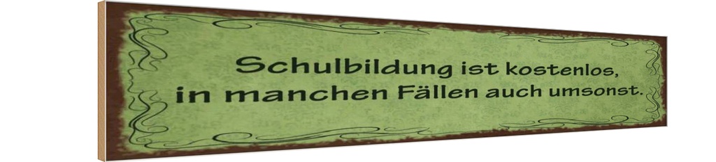 Holzschild 10x46 cm Schulbildung kostenlos umsonst