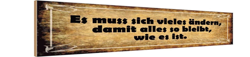 Holzschild 10x46 cm Es muss sich vieles ändern damit