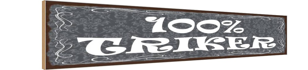 Holzschild 10x46 cm 100% Trinker