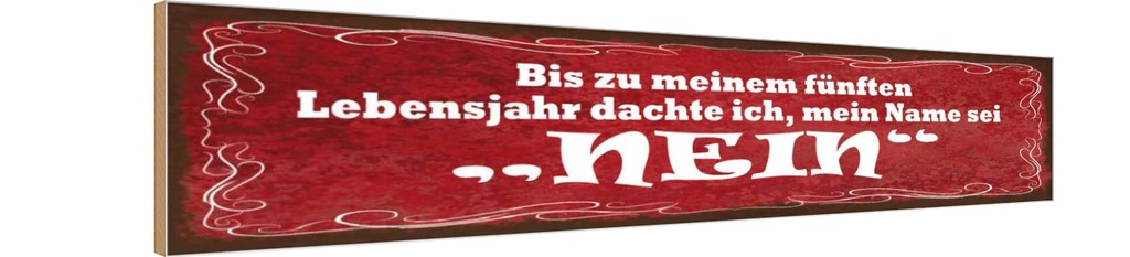 Holzschild 10x46 cm Ich dachte mein Name sei NEIN
