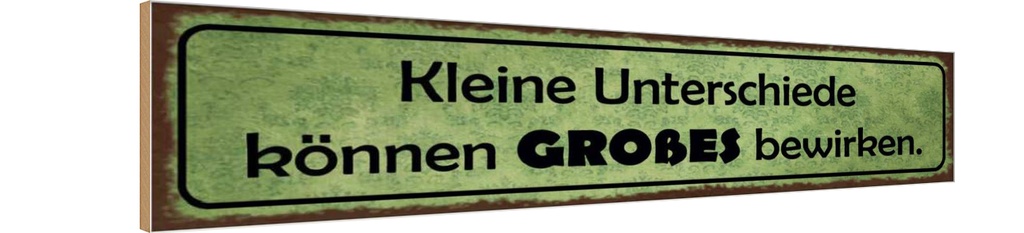 Holzschild 10x46 cm Keine Unterschiede Großes