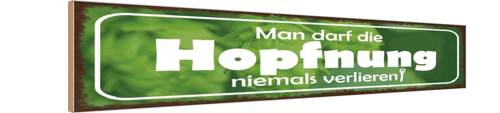 Holzschild 10x46 cm Darf Hopfnung niemals verlieren