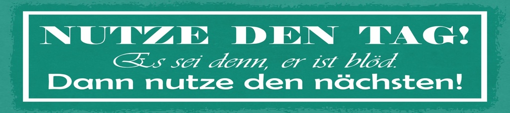 [LA-1814983-H] Holzschild 10x46 cm Nutze den Tag . Es sei denn, er ist blöd