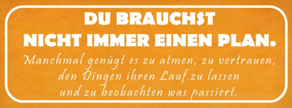 Holzschild 10x27 cm du brauchst nicht immer Plan Dekoration