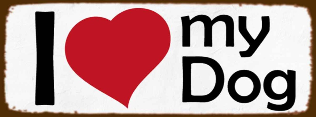 Holzschild 10x27 cm i love my dog Herz Hund Spruch Zitat