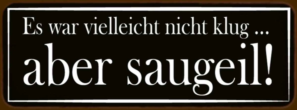 Holzschild 10x27 cm es war vielleicht nicht klug Dekoration
