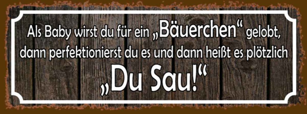 Holzschild 10x27 cm als Baby für Bäuerchen gelobt Dekoration