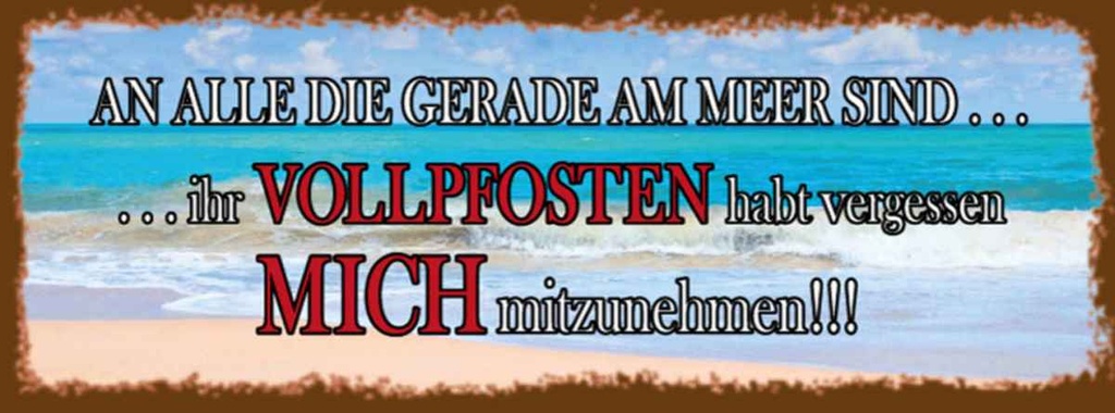 Holzschild 10x27 cm an alle die gerade am Meer sind