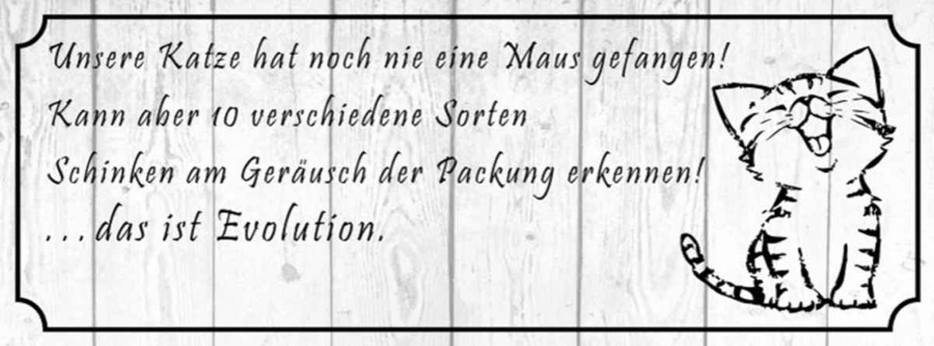 Holzschild 10x27 cm unsere Katze noch Maus gefangen Tier Haustier
