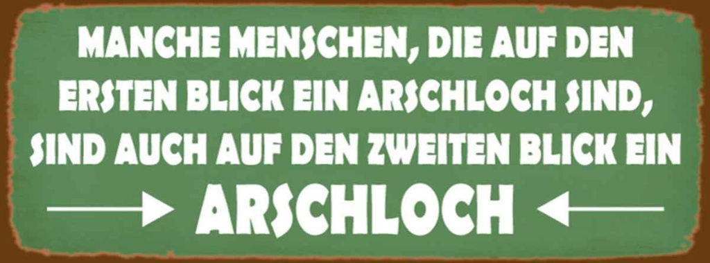 Holzschild 10x27 cm manche Menschen Arschloch Spruch Zitat