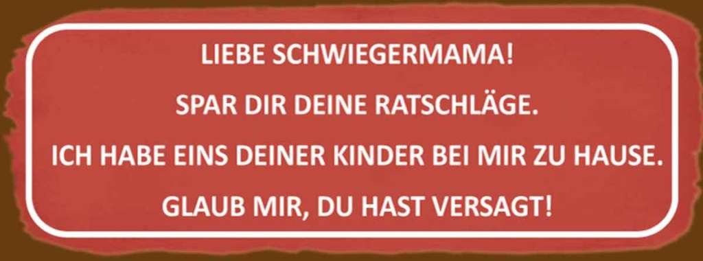Holzschild 10x27 cm liebe Schwiegermama spar dir Familie Freunde