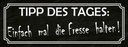 Holzschild 10x27 cm Tipp des Tages die Fresse halten Spruch Zitat