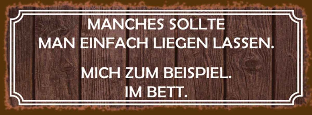 Holzschild 10x27 cm manches sollte man liegen lassen Spruch Zitat