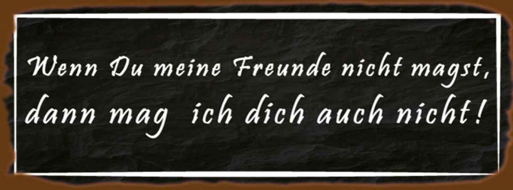 Holzschild 10x27 cm wenn meine Freunde nicht magst Familie