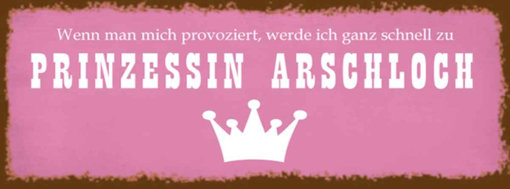 Holzschild 10x27 cm ich zu Prinzessin Arschloch Dekoration