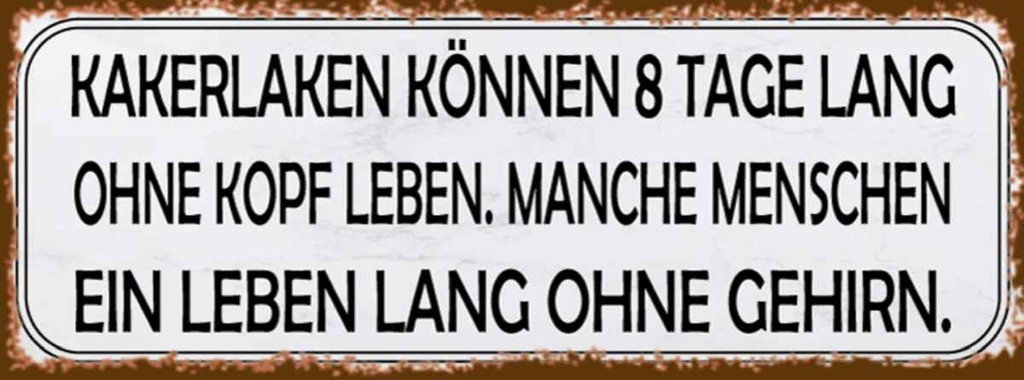 Holzschild 10x27 cm Kakerlaken ohne Kopf Menschen Dekoration