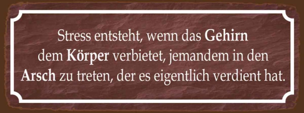 Holzschild 10x27 cm Stress entsteht wenn das Gehirn Spruch Zitat