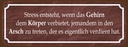 Holzschild 10x27 cm Stress entsteht wenn das Gehirn Spruch Zitat