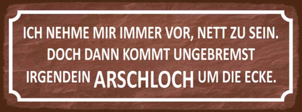Holzschild 10x27 cm ich immer nett doch Arschloch Dekoration