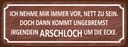 Holzschild 10x27 cm ich immer nett doch Arschloch Dekoration
