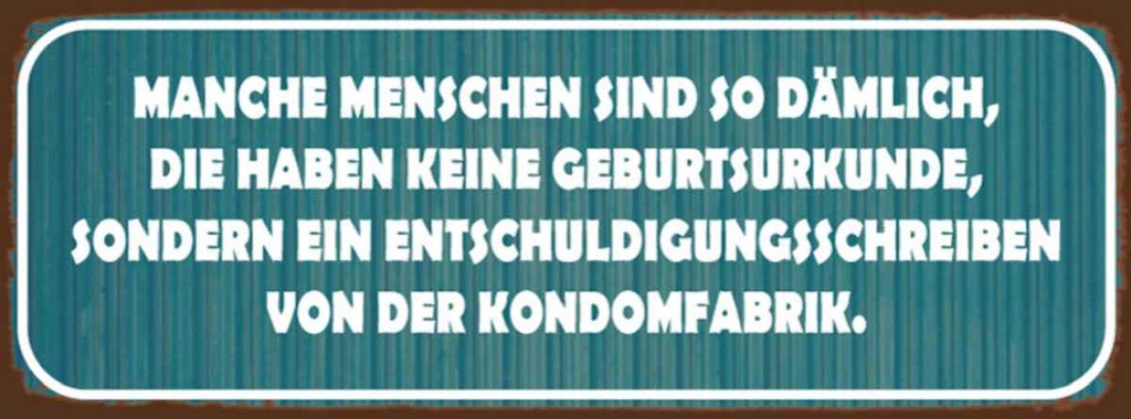 Holzschild 10x27 cm manche Menschen sind so dämlich Spruch Zitat