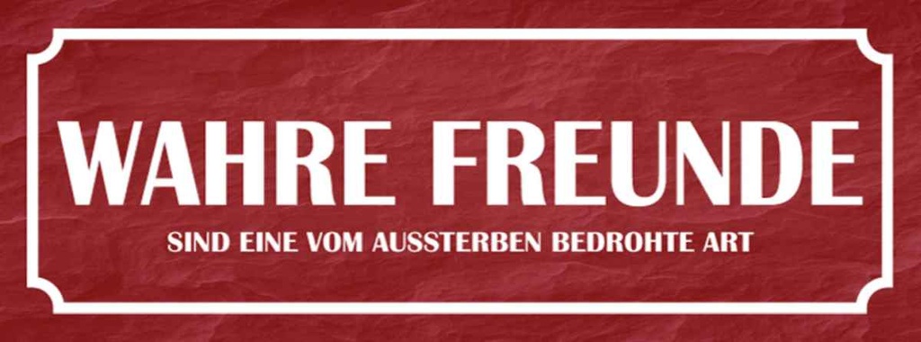 Holzschild 10x27 cm wahre Freunde Dekoration
