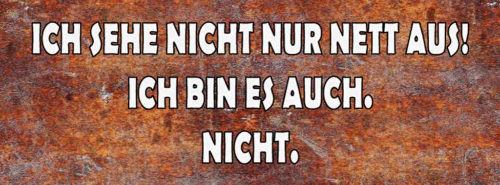 Holzschild 10x27 cm sehe nicht nur nett aus ich bin Spruch Zitat