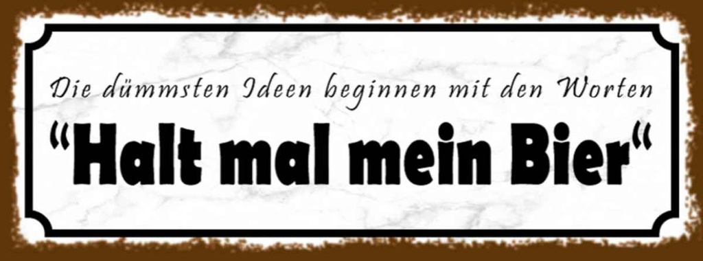 Holzschild 10x27 cm dümmste Ideen halt mein Bier Essen Trinken
