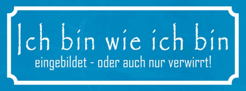 Holzschild 10x27 cm ich bin wie eingebildet Spruch Zitat