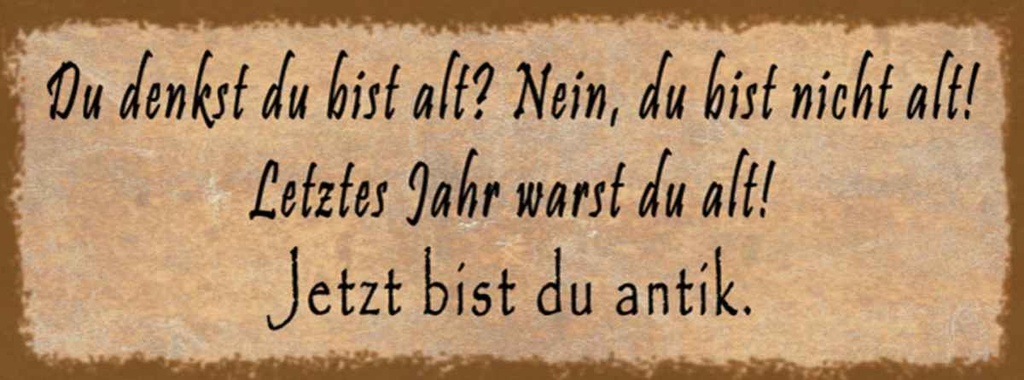 Holzschild 10x27 cm du denkst bist alt nein Spruch Zitat