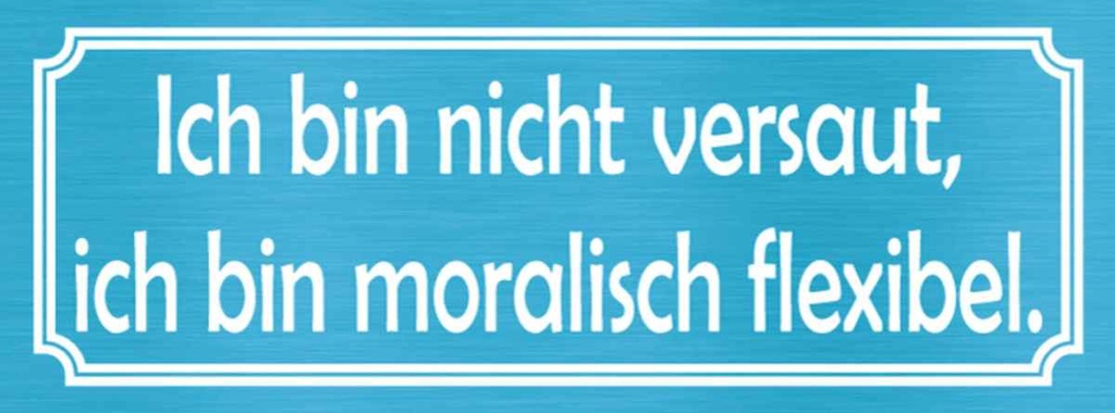Holzschild 10x27 cm nicht versaut moralisch flexibel Spruch Zitat