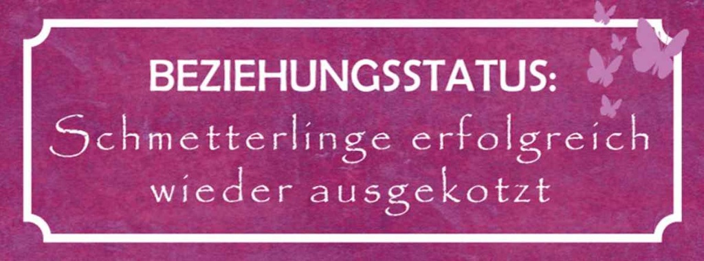 Holzschild 10x27 cm Beziehungsstatus Schmetterlinge