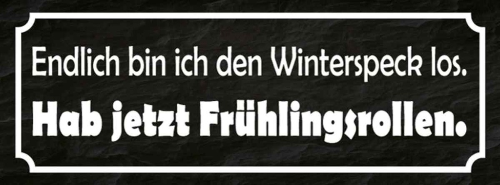 Holzschild 10x27 cm endlich bin den Winterspeck los Spruch Zitat