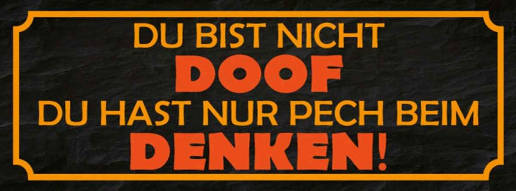 Holzschild 10x27 cm du bist nicht doof nur Pech Dekoration