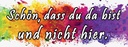 Holzschild 10x27 cm schön dass du da bist nicht hier Spruch Zitat