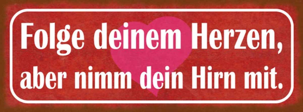 Holzschild 10x27 cm folge deinem Herzen nimm Hirn Dekoration