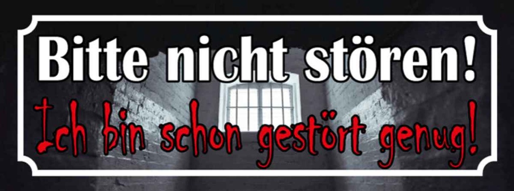 Holzschild 10x27 cm nicht stören bin schon gestört Warnschild Hinweisschild