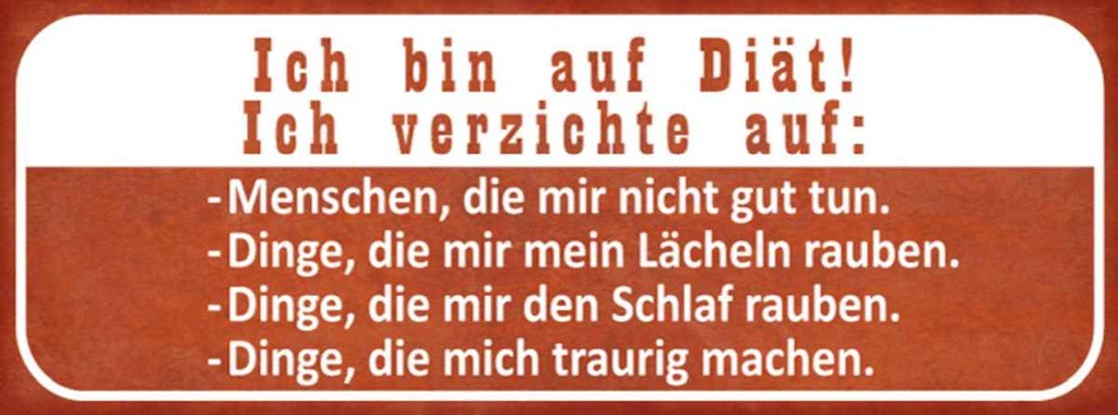 Holzschild 10x27 cm ich bin auf Diät verzichte Dekoration