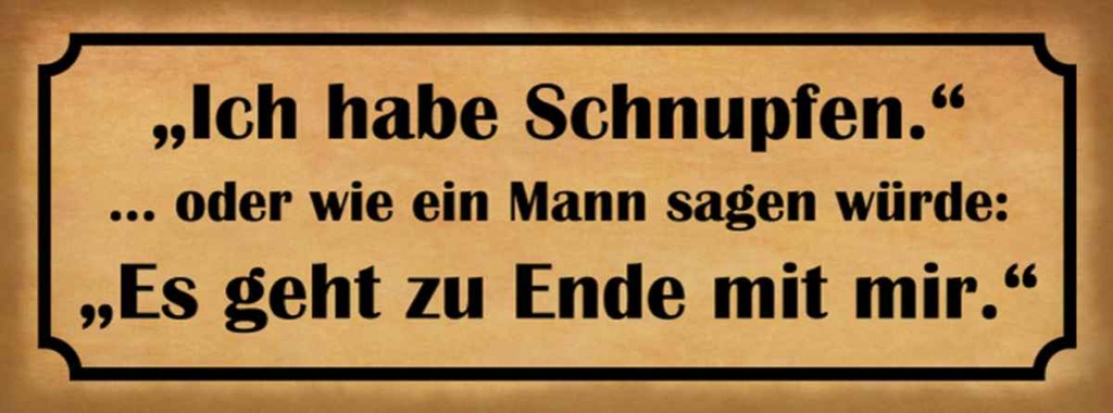 Holzschild 10x27 cm habe Schnupfen es geht zu Ende Dekoration