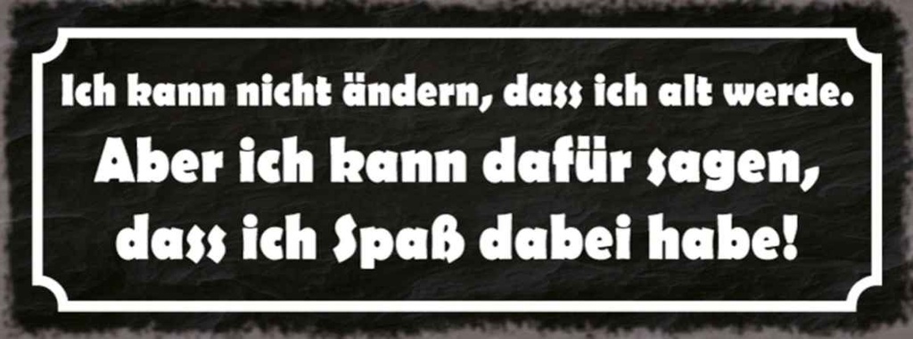 Holzschild 10x27 cm ich kann nicht ändern alt werde Spruch Zitat