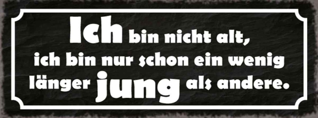 Holzschild 10x27 cm bin nicht alt länger jung Dekoration