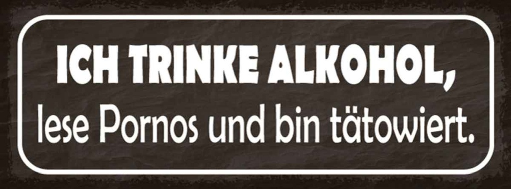 Holzschild 10x27 cm ich trinke Alkohol lese Pornos Dekoration