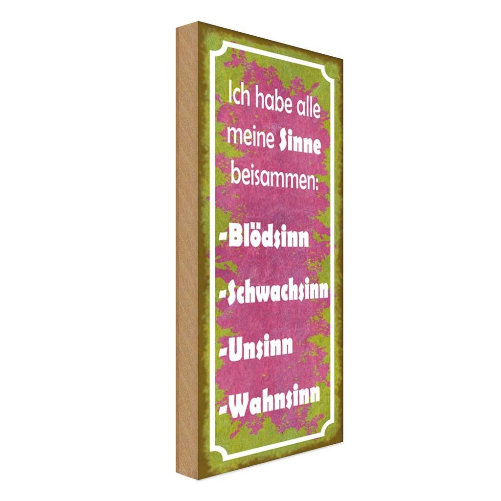 Holzschild 27x10 cm habe alle meine Sinne beisammen Spruch Zitat