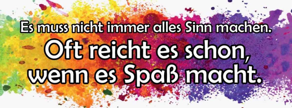 Holzschild 10x27 cm muss nicht alles Sinn machen Dekoration