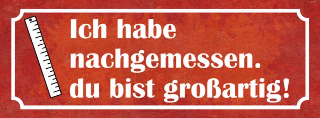Holzschild 10x27 cm nachgemessen du bist großartig Dekoration