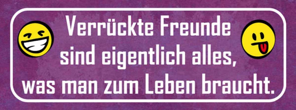 Holzschild 10x27 cm verrückte Freunde sind alles was Spruch Zitat