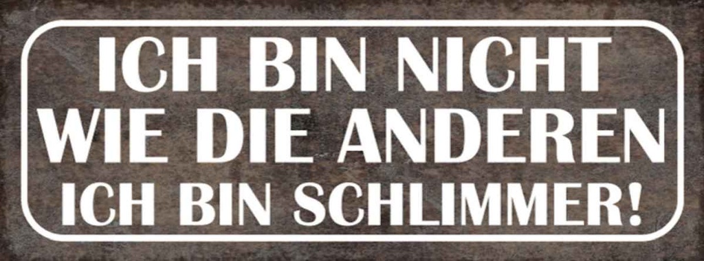 Holzschild 10x27 cm bin nicht wie andere schlimmer