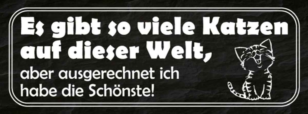 Holzschild 10x27 cm es gibt so vile Katzen auf Welt Spruch Zitat