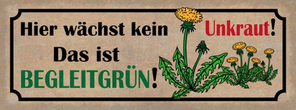 Holzschild 10x27 cm hier wächst kein Unkraut das ist Spruch Zitat