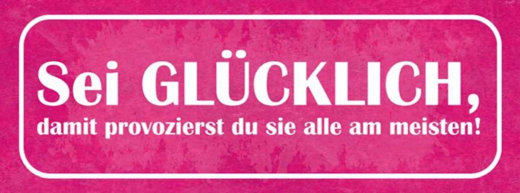 Holzschild 10x27 cm sei glücklich damit provozierst Spruch Zitat